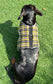 Cornish Tartan Dachshund Harness: Fleece Lined, No-Rub Design