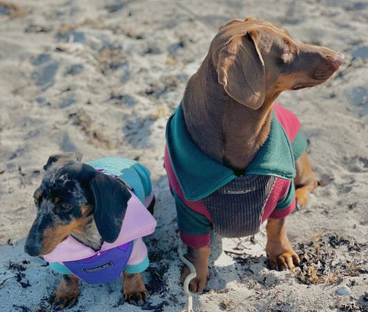Dachshund  zipped neck  fleece ,dog jumper,dachshund legged jumper ,dachshund jumper , dachshund fleece,dachshund fleece jacket