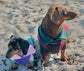 Dachshund  zipped neck  fleece ,dog jumper,dachshund legged jumper ,dachshund jumper , dachshund fleece,dachshund fleece jacket
