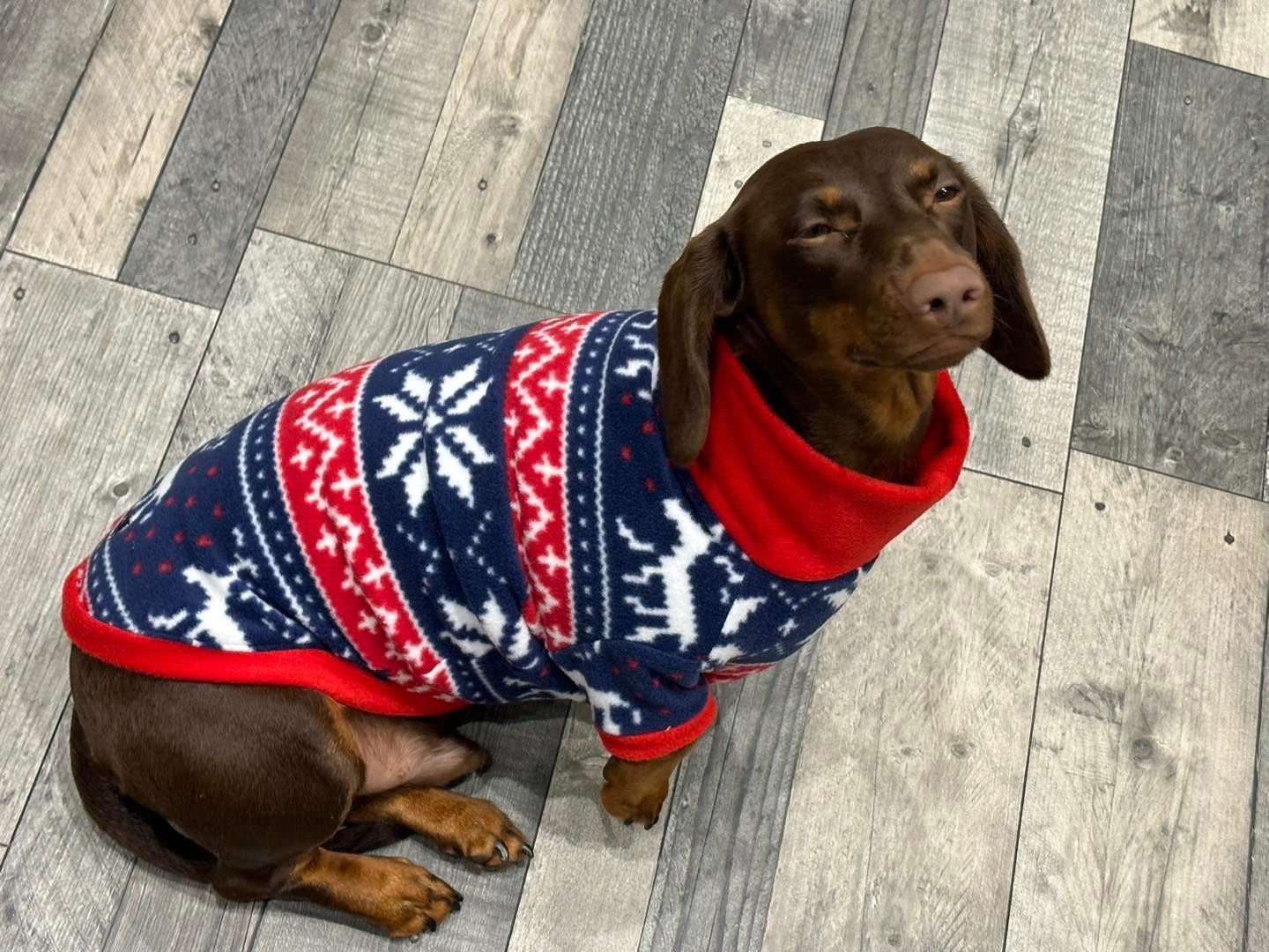 Dachshund Christmas Fleece coat ,dog jumper ,breathable dog jumper  , pet accessories, dog jacket,washable dog jumper