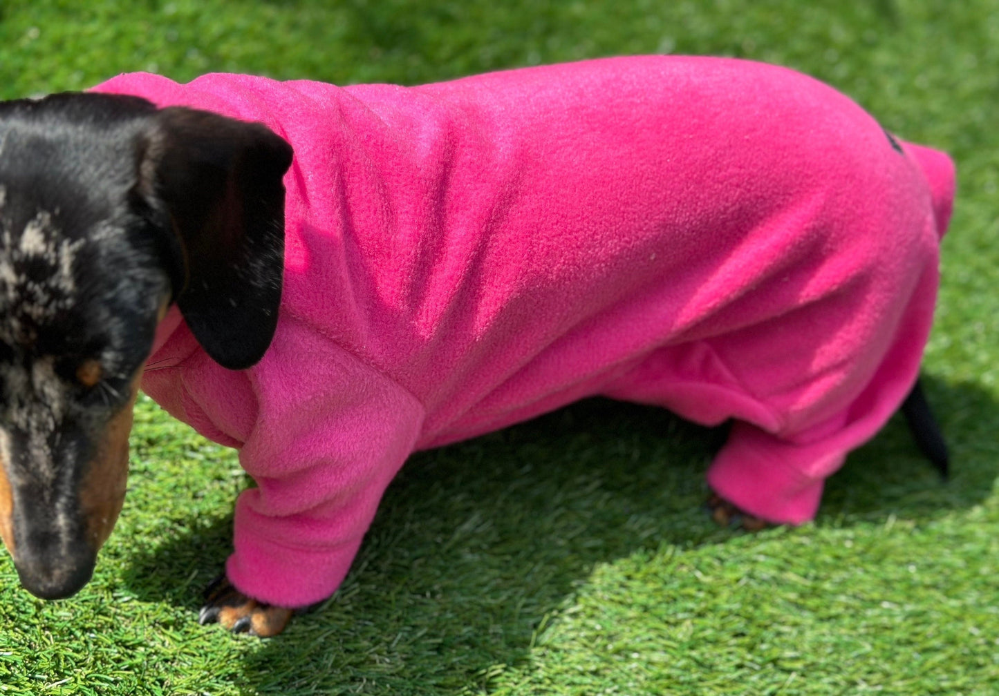 Water Resistant Fleece Dachshund Onesie: Mud Repellent Dog Coat