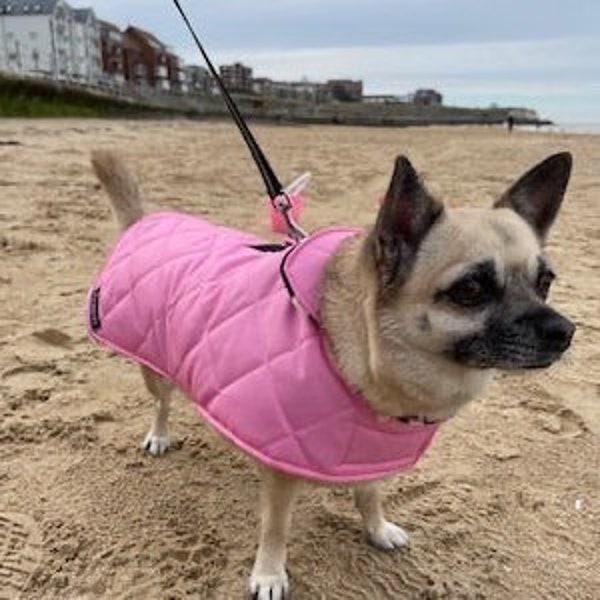 Dachshund Quilted Dog Coat: Water-Resistant Fleece Lined Winter Jacket