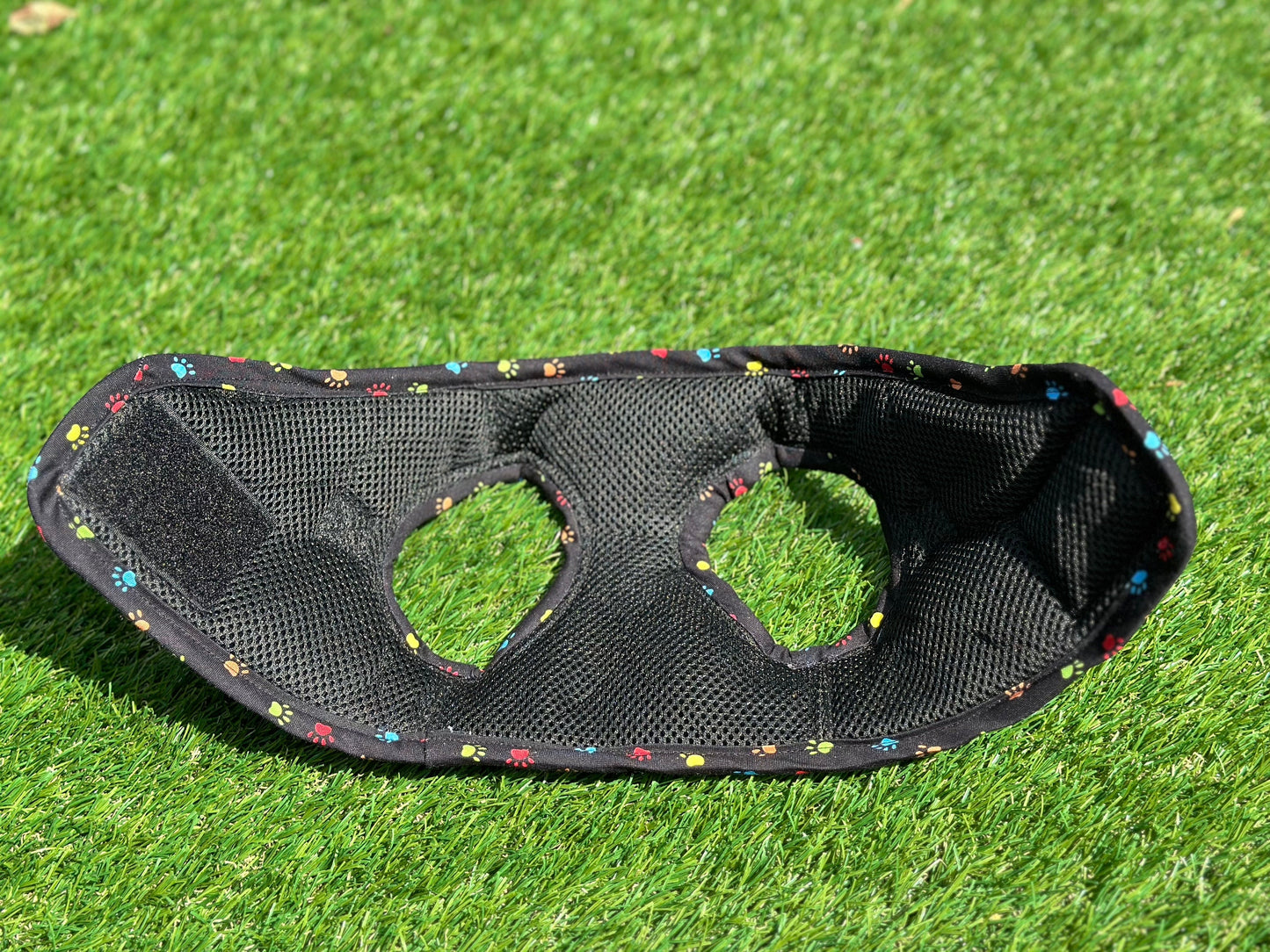 Made-to-Order Dachshund Harness: Black Spacer Mesh, Paw Print Trim