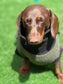Boucle Fleece Dachshund Onesie: Cozy Small Dog Jumper