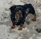 Made-to-Order Dachshund Harness: Black Spacer Mesh, Paw Print Trim