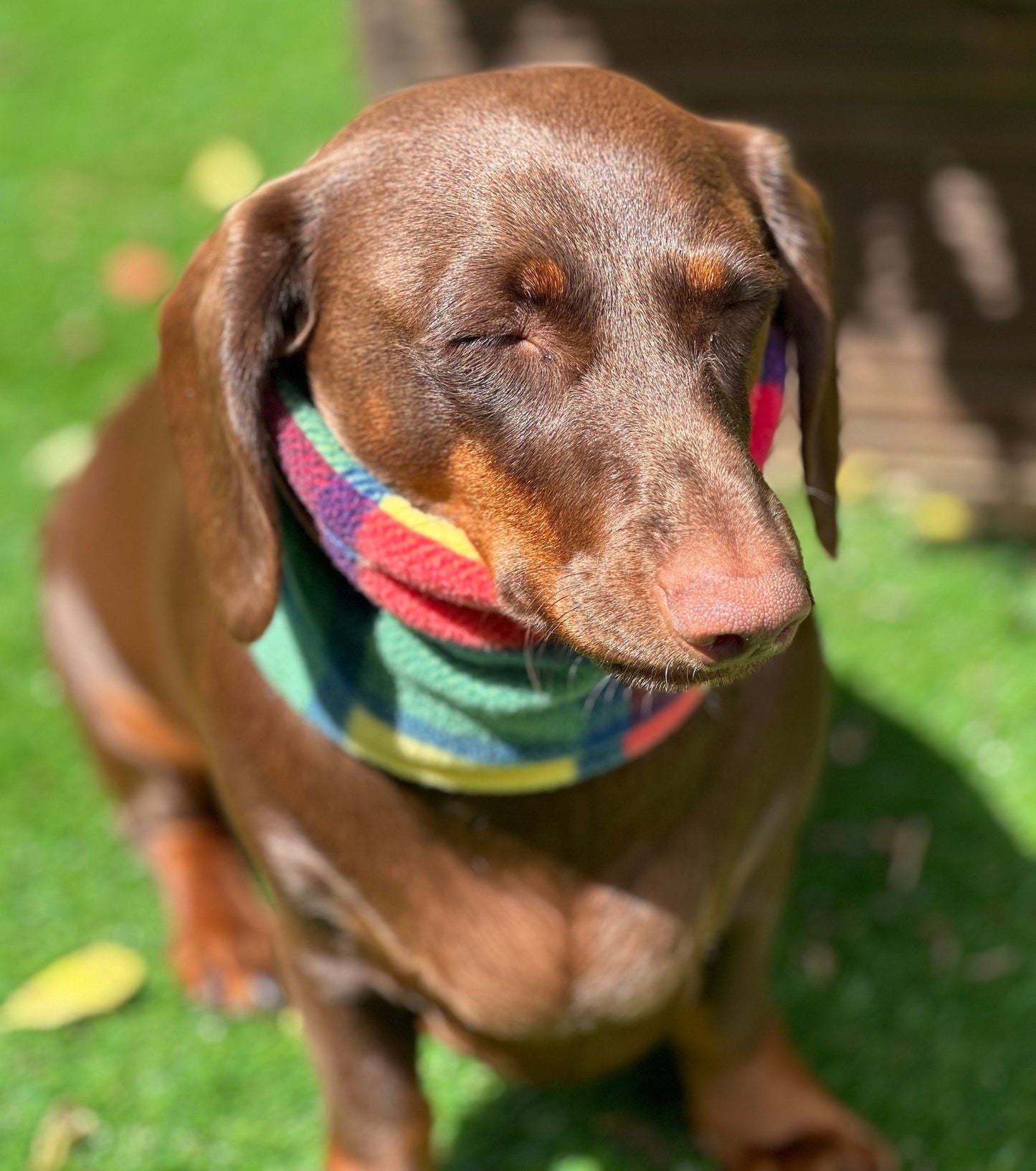 Dachshund Tartan Fleece Snood: Dog Neck Warmer
