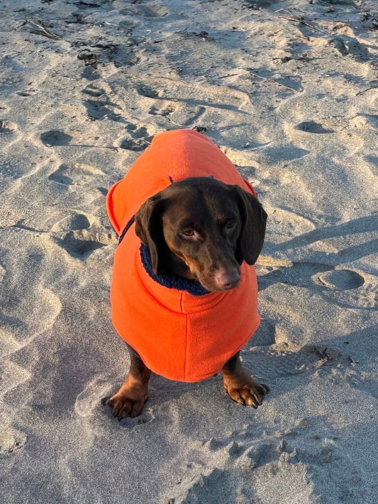Dachshund Fleece Dog Drying Coat: Absorbent Terry Lined, Washable Jumper