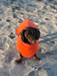 Dachshund Fleece Dog Drying Coat: Absorbent Terry Lined, Washable Jumper
