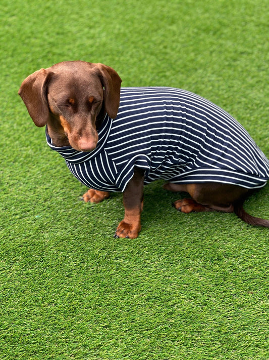 Dachshund Stripe Jersey Jumper: Washable Dog T-Shirt