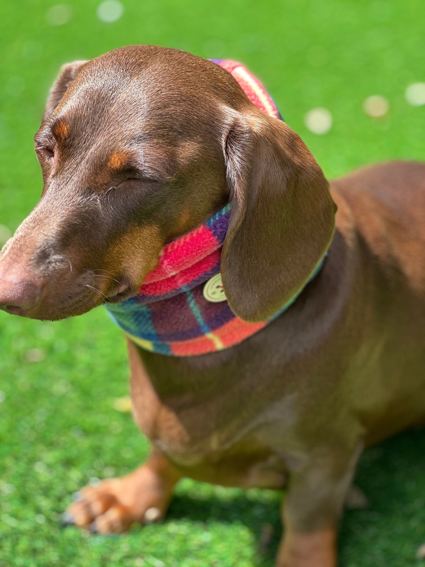 Dachshund Tartan Fleece Snood: Dog Neck Warmer