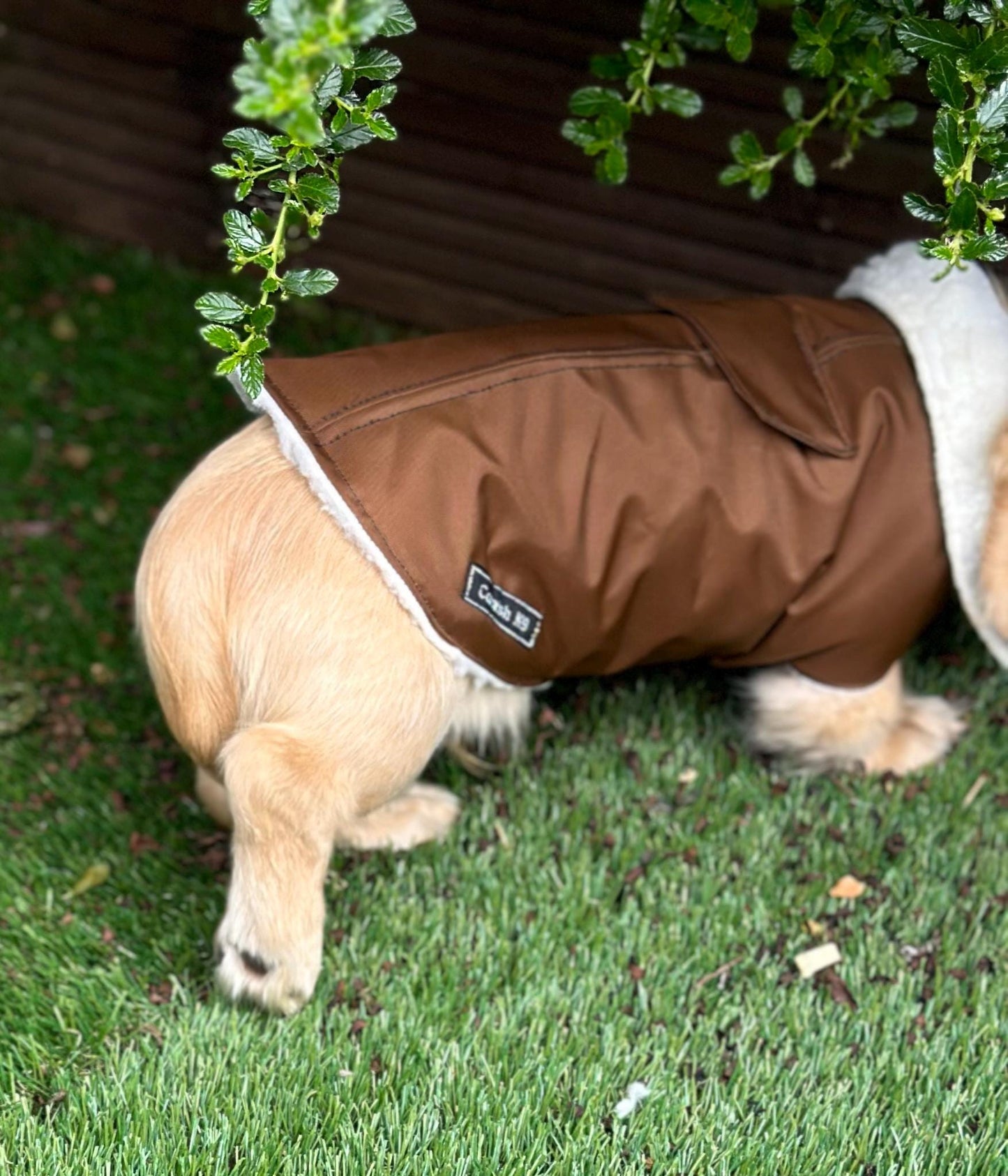 Waterproof Dachshund Coat: Sherpa Fleece Lined, Hideaway Harness Hole