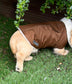 Waterproof Dachshund Coat: Sherpa Fleece Lined, Hideaway Harness Hole