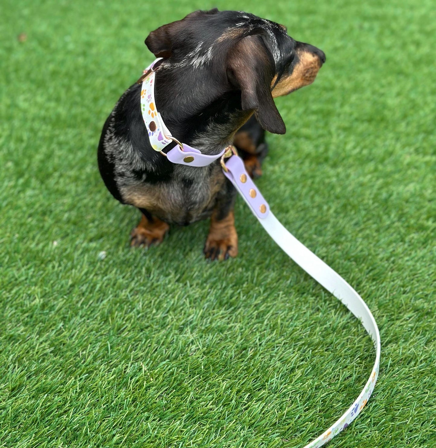 Waterproof Biothane Dog Collar & Lead Set: Rose Gold Hardware