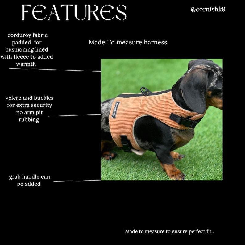 Made-to-Measure Corduroy Dog Harness: Fleece Lined, Adjustable Fit
