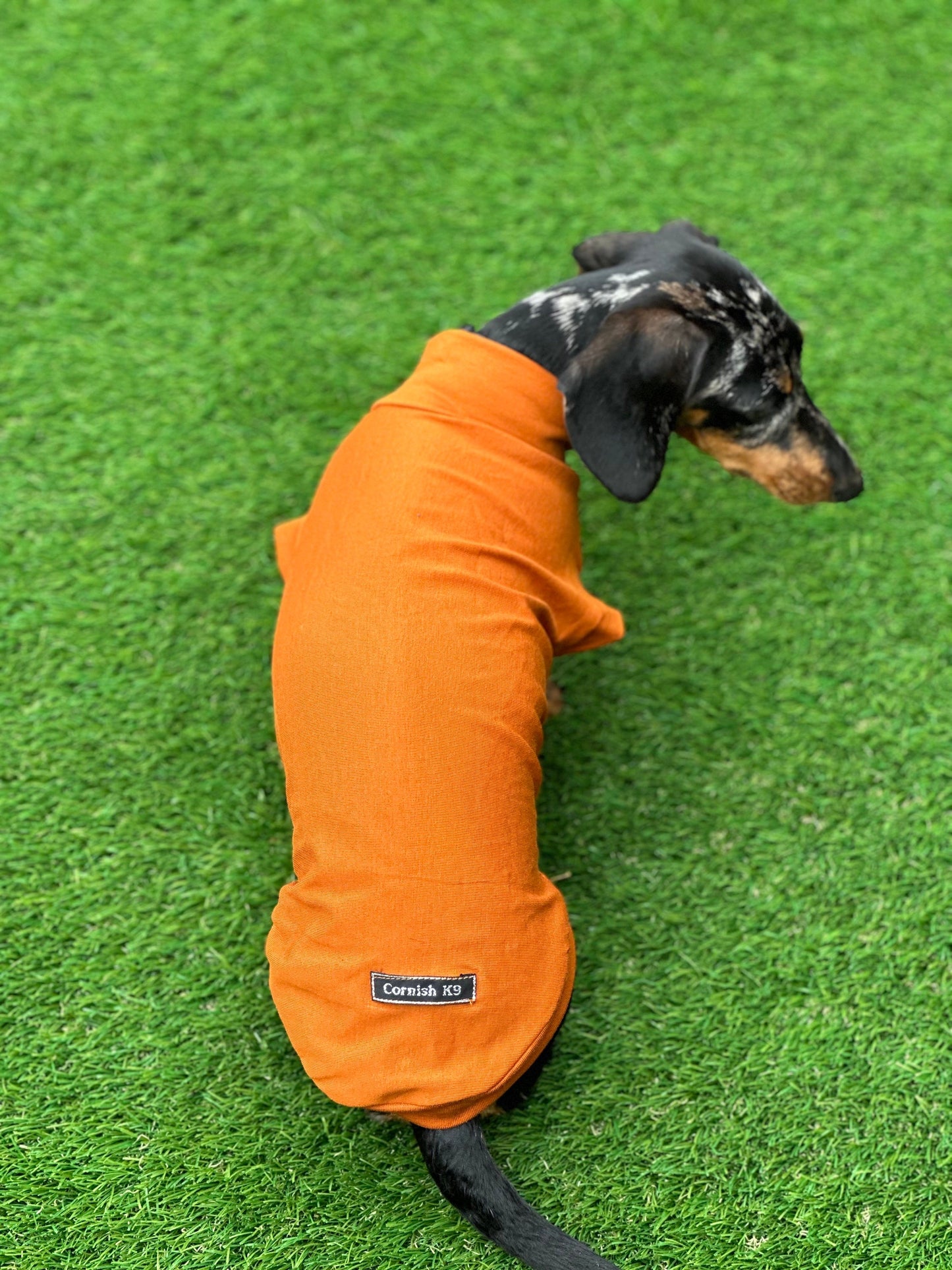Dachshund Cotton Jersey Dog Jumper: Breathable Cooling Top