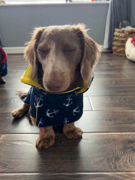 Dachshund Fleece Dog Coat: Double Layered, Harness Hole, Handmade