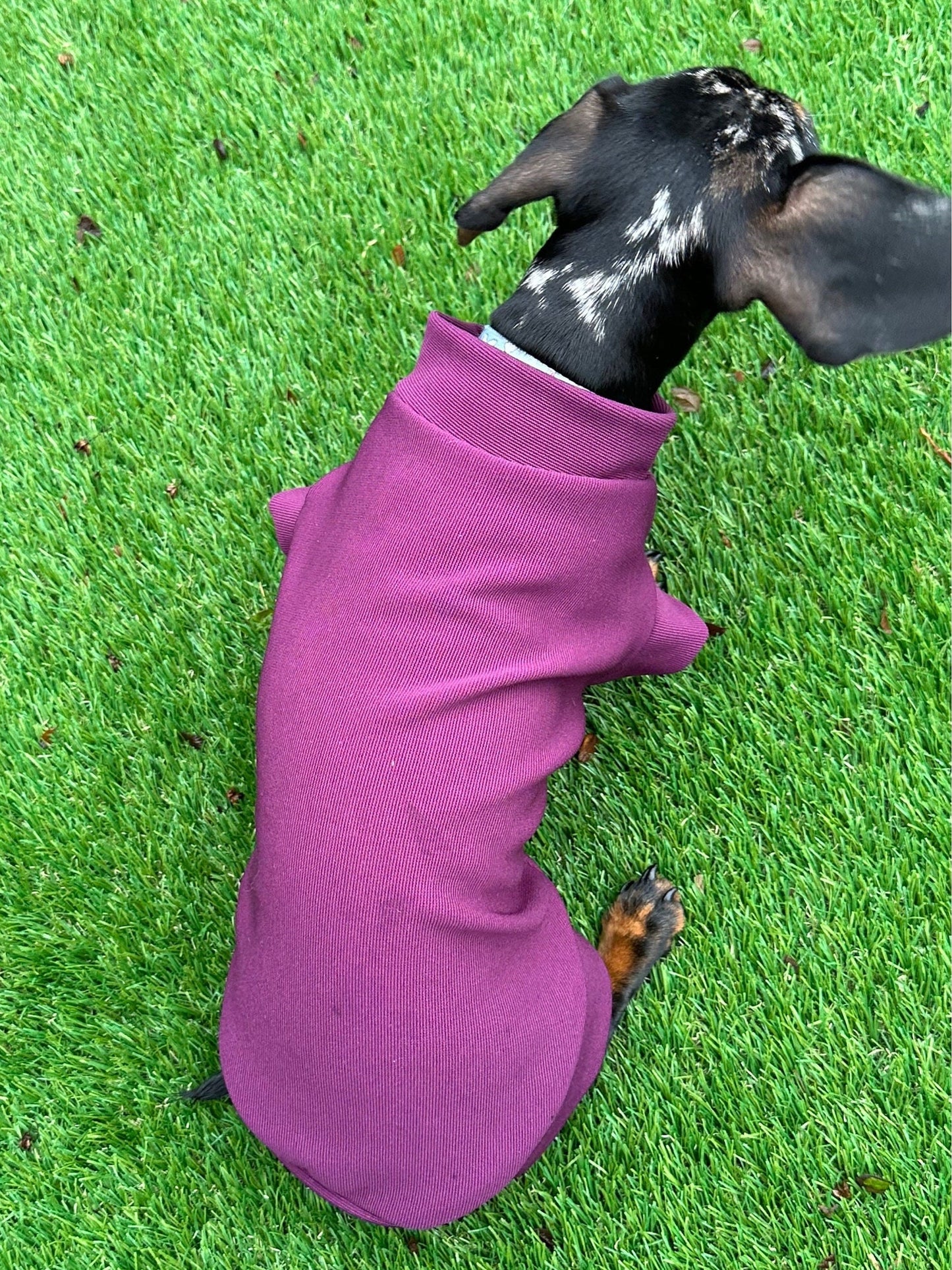 Ribbed Dachshund Jumper: Spandex Ottoman Knit, Washable Dog Sweater