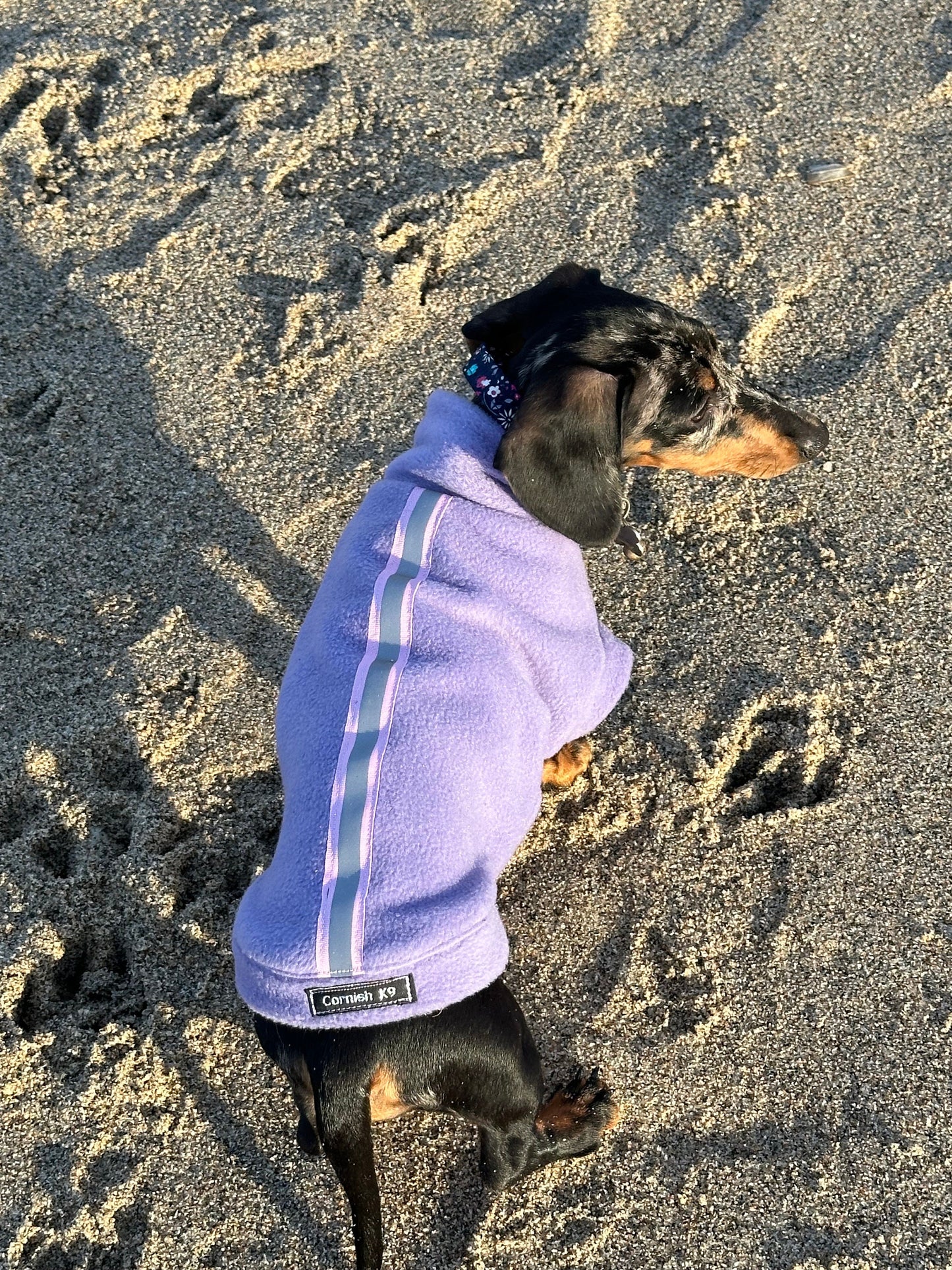 Reflective Fleece Dachshund Jumper: Washable Dog Coat