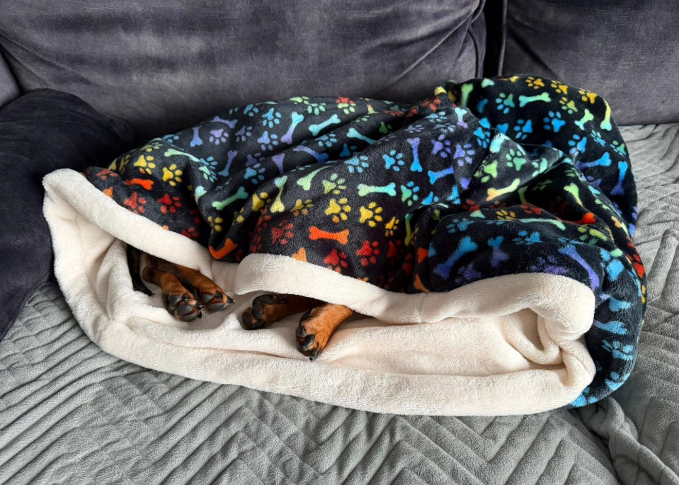 Fleece Dog Snuggle Sack: Padded Cuddle Bed