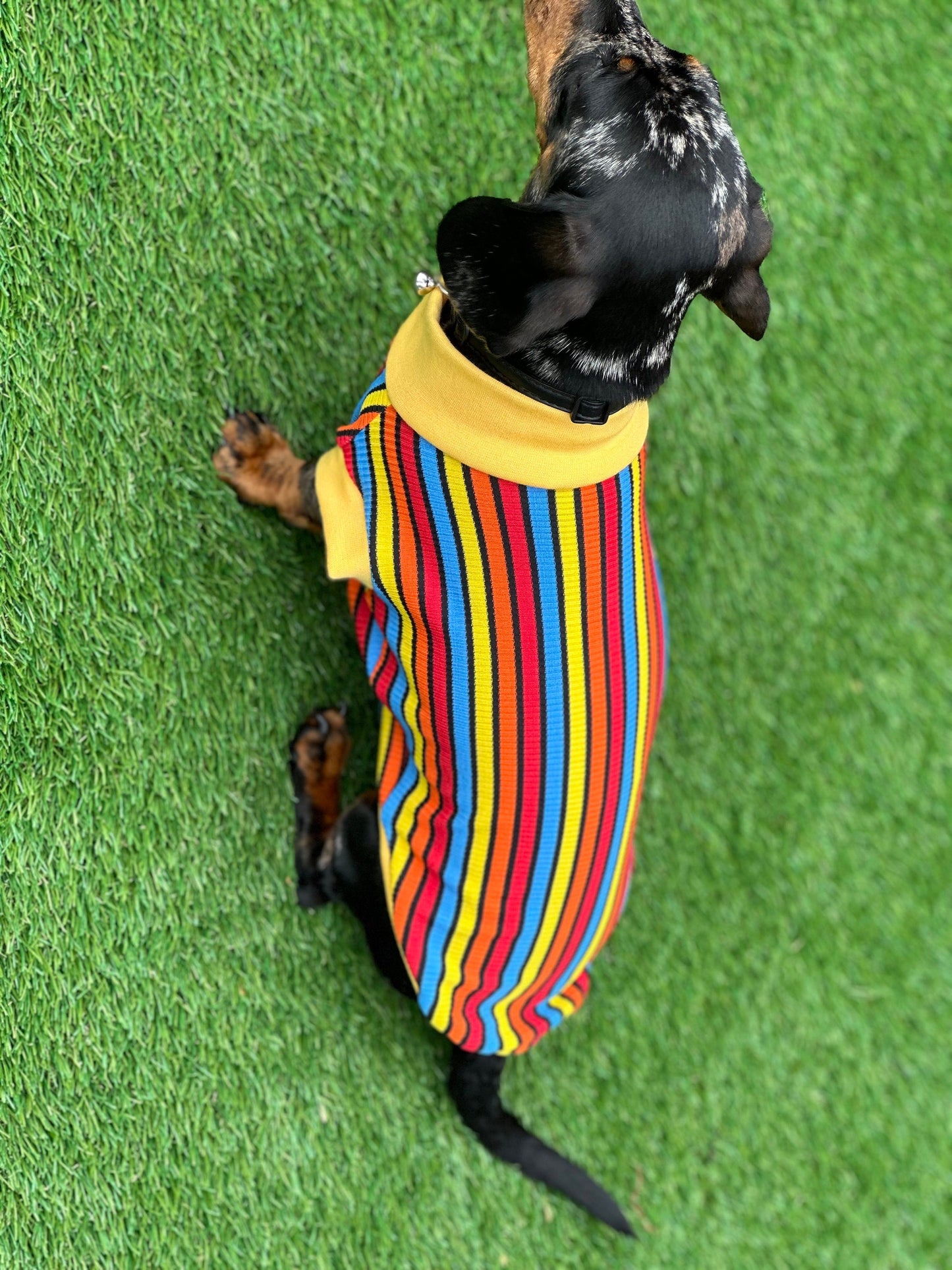 Striped Rib Jersey Dachshund Jumper: Washable Dog T-Shirt