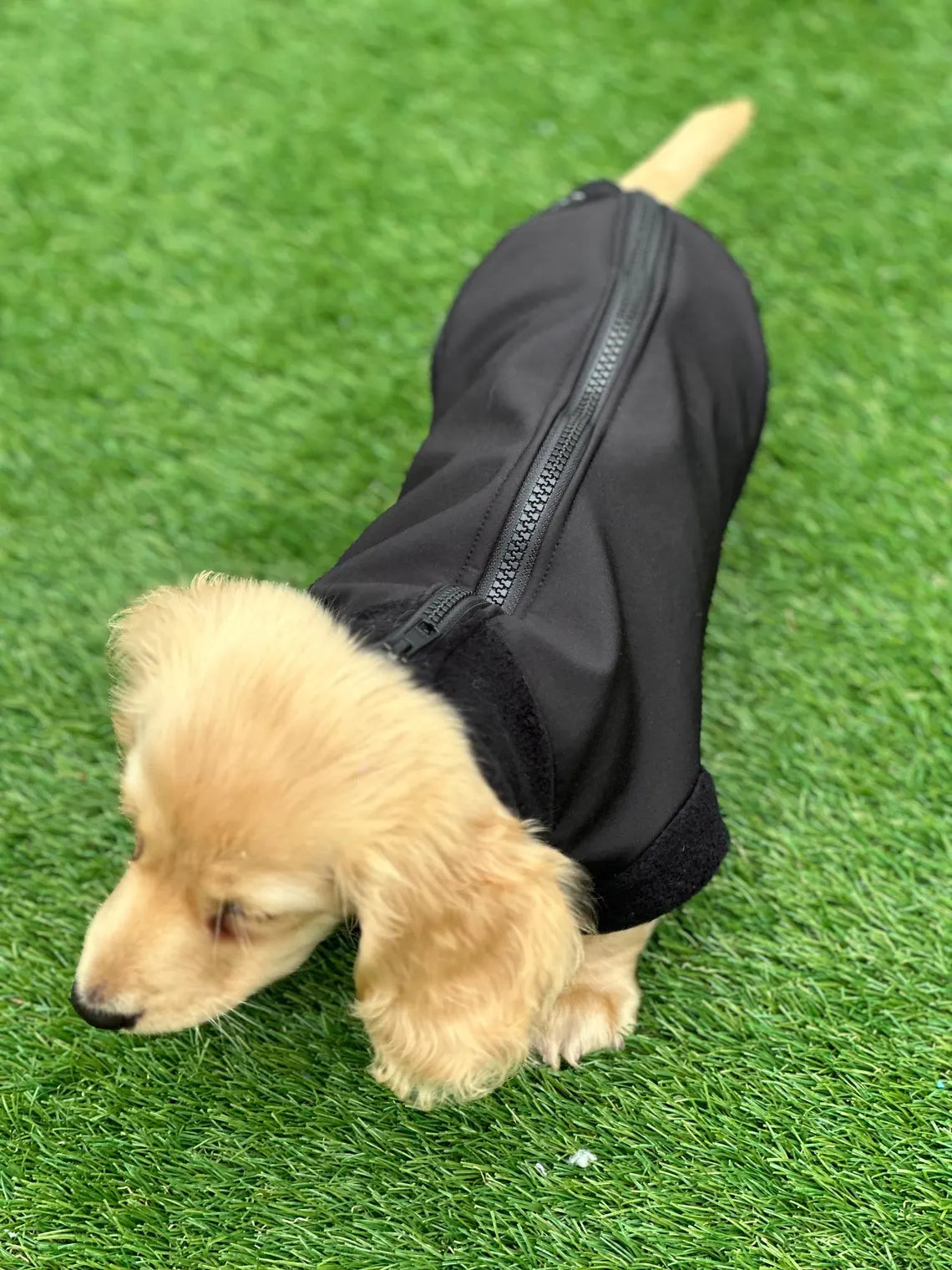Dachshund water resistant zipped jumper Softshell Dog Coat Mud Repellent.