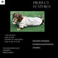 Water Repellent Dachshund Fleece Jumper: Long Leg Zip-Up.