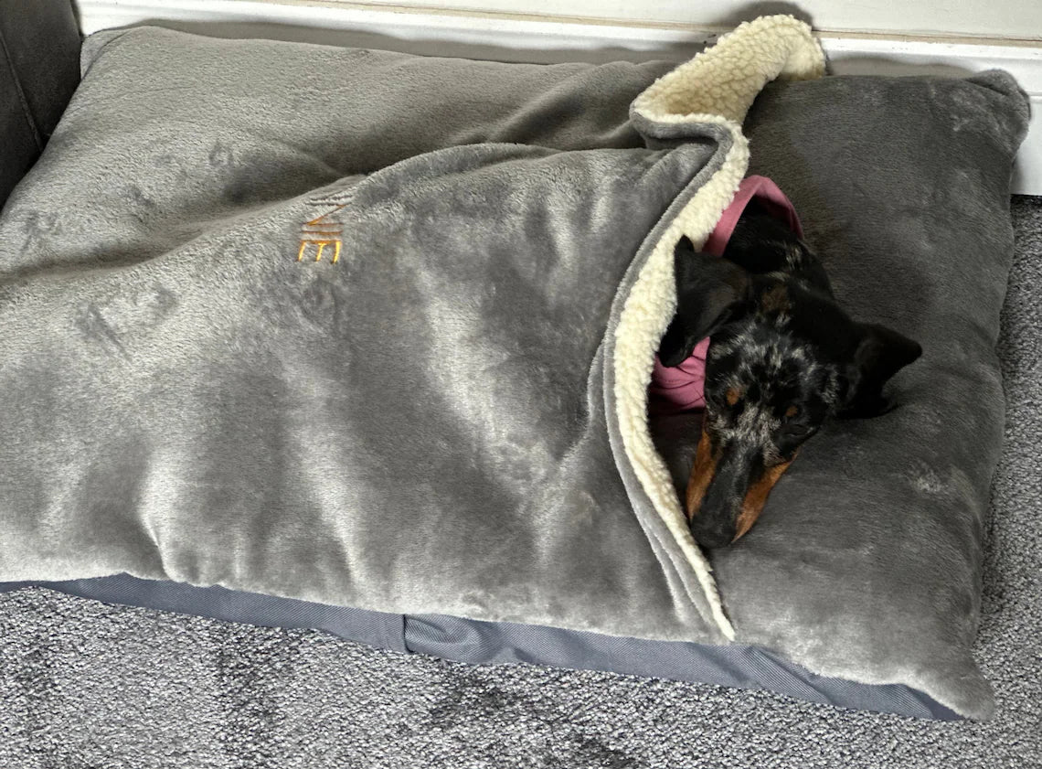 Personalized Dachshund Snuggle borrowing bed . Dog Bed Cave