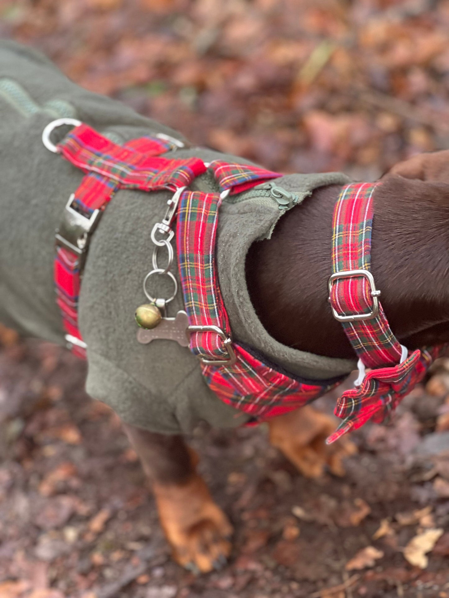 Tartan Dachshund Harness Set: Padded Fleece, No-Choke Design