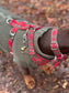 Tartan Dachshund Harness Set: Padded Fleece, No-Choke Design