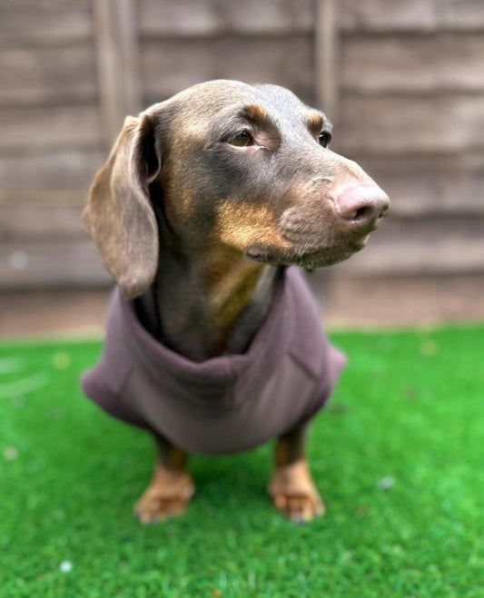 Waterproof Dachshund Fleece Jacket: Mud Repellent Soft Shell Tummy