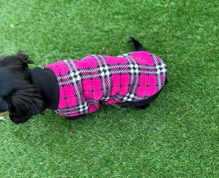 Dachshund Fleece Dog Jumper: Breathable, Water-Resistant, Warm
