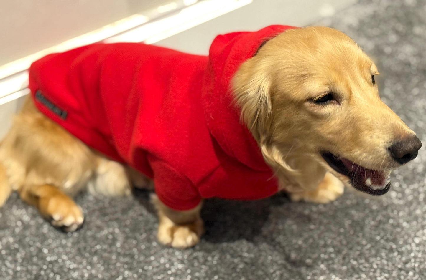 Water & Mud Repellent Dachshund Fleece Hoodie: Front Leg Jumper