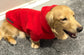 Water & Mud Repellent Dachshund Fleece Hoodie: Front Leg Jumper