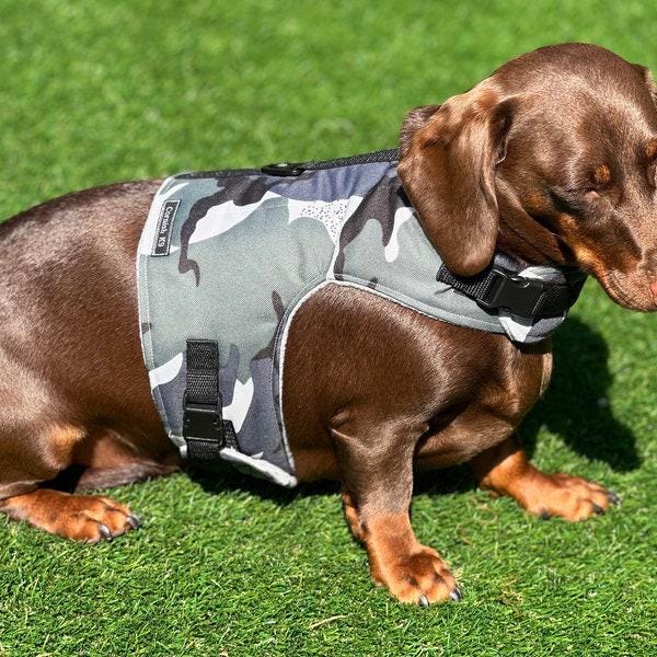 Waterproof Dachshund Harness: Fleece Lined, No-Rub Design