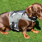 Waterproof Dachshund Harness: Fleece Lined, No-Rub Design