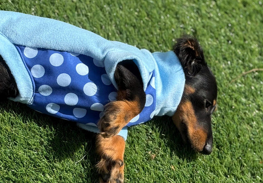 Dachshund  waterproof tummy fleece ,dachshund jumper ,dachshund jacket,mud and water repellent fleece , dachshund fleece