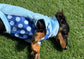 Dachshund  waterproof tummy fleece ,dachshund jumper ,dachshund jacket,mud and water repellent fleece , dachshund fleece