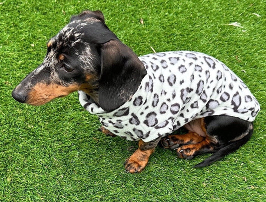 Leopard Print Dachshund Fleece Jumper: Water Repellent Dog Suit