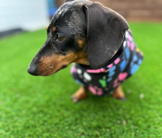 Fleece Dachshund Coat: Water Repellent Dog Jumper, Custom Fit