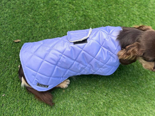 Dachshund winter Quilted Dog Coat: Water-Resistant Sherpa fur Lined Winter Jacket