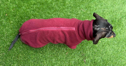 Dachshund polo zip Fleece ,dachshund  tankies, dog step in jumper, dog fleece ,washable dog jumper,Water & Mud Repellent dog suit