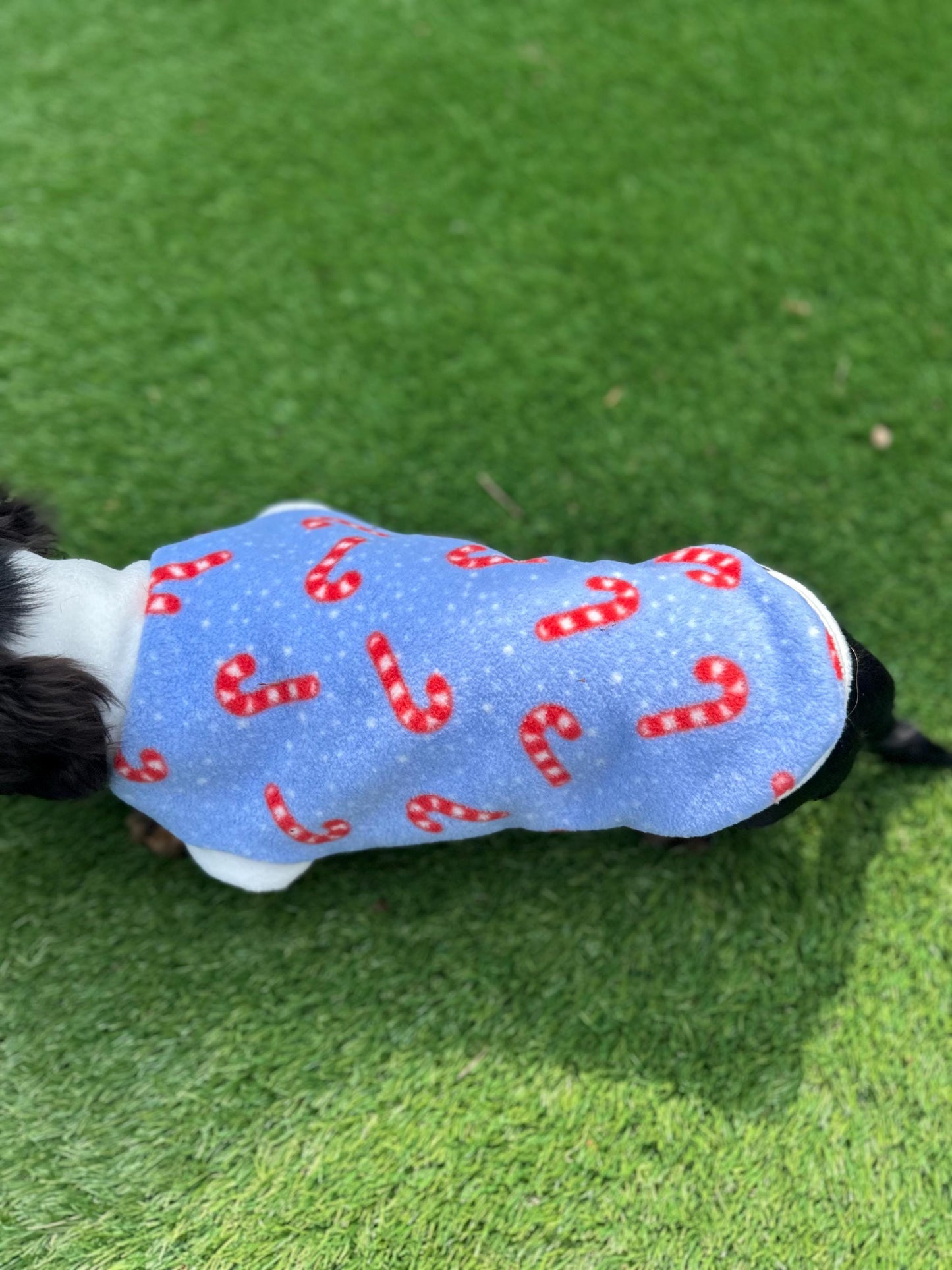 Dachshund Christmas jumper ,dog jumper ,breathable dog jumper, dog jacket,washable dog jumper,Water & Mud Repellent dog suit