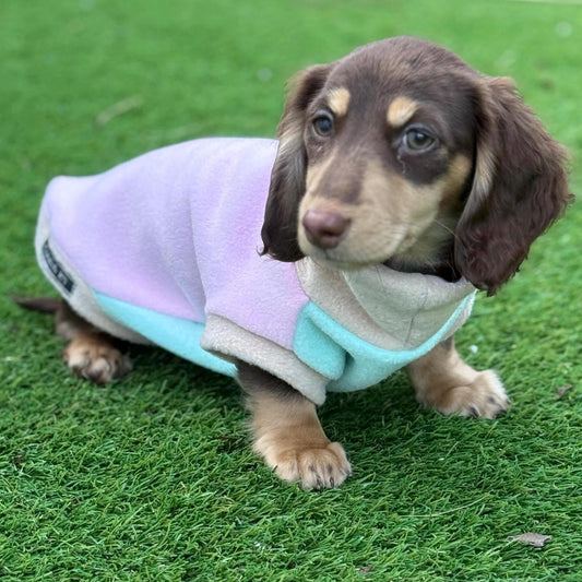 Personalized Dachshund Fleece Jumper: Water & Mud Repellent, Embroidered Name