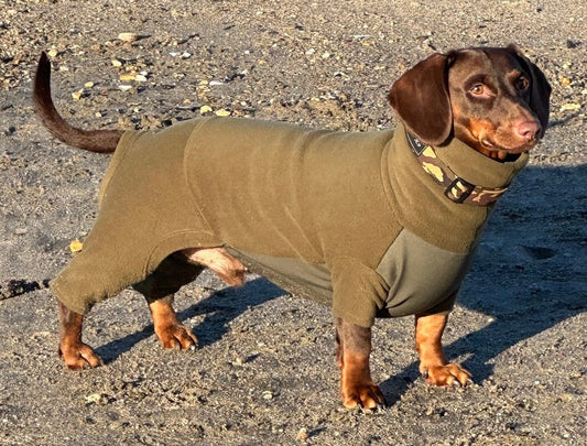Mini Dachshund Fleece Onesie: Waterproof Tummy, Mud Repellent Dog Jumpsuit