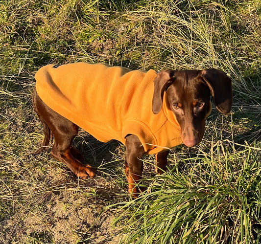Personalized Dachshund Fleece Dog Jumper: Water Repellent, Breathable