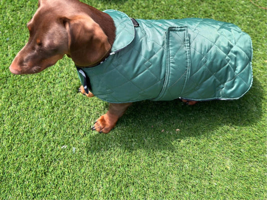 Dachshund Quilted Dog Coat: Water-Resistant Fleece Lined Winter Jacket