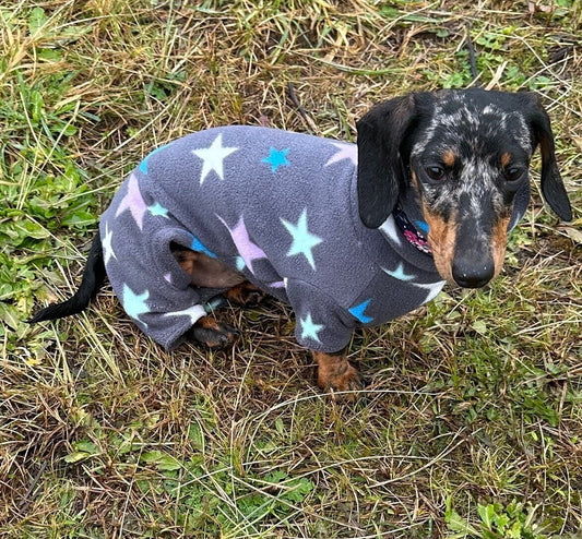 Miniature Dachshund Fleece Onesie: Water Repellent Dog Jumpsuit
