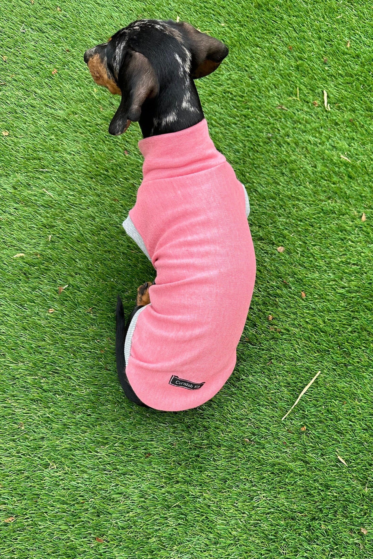 Dachshund Fleece Sweatshirt: Soft Washable Dog Jumper