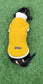 Boucle Dachshund Fleece Jumper: Cozy Thermal Small Dog Coat