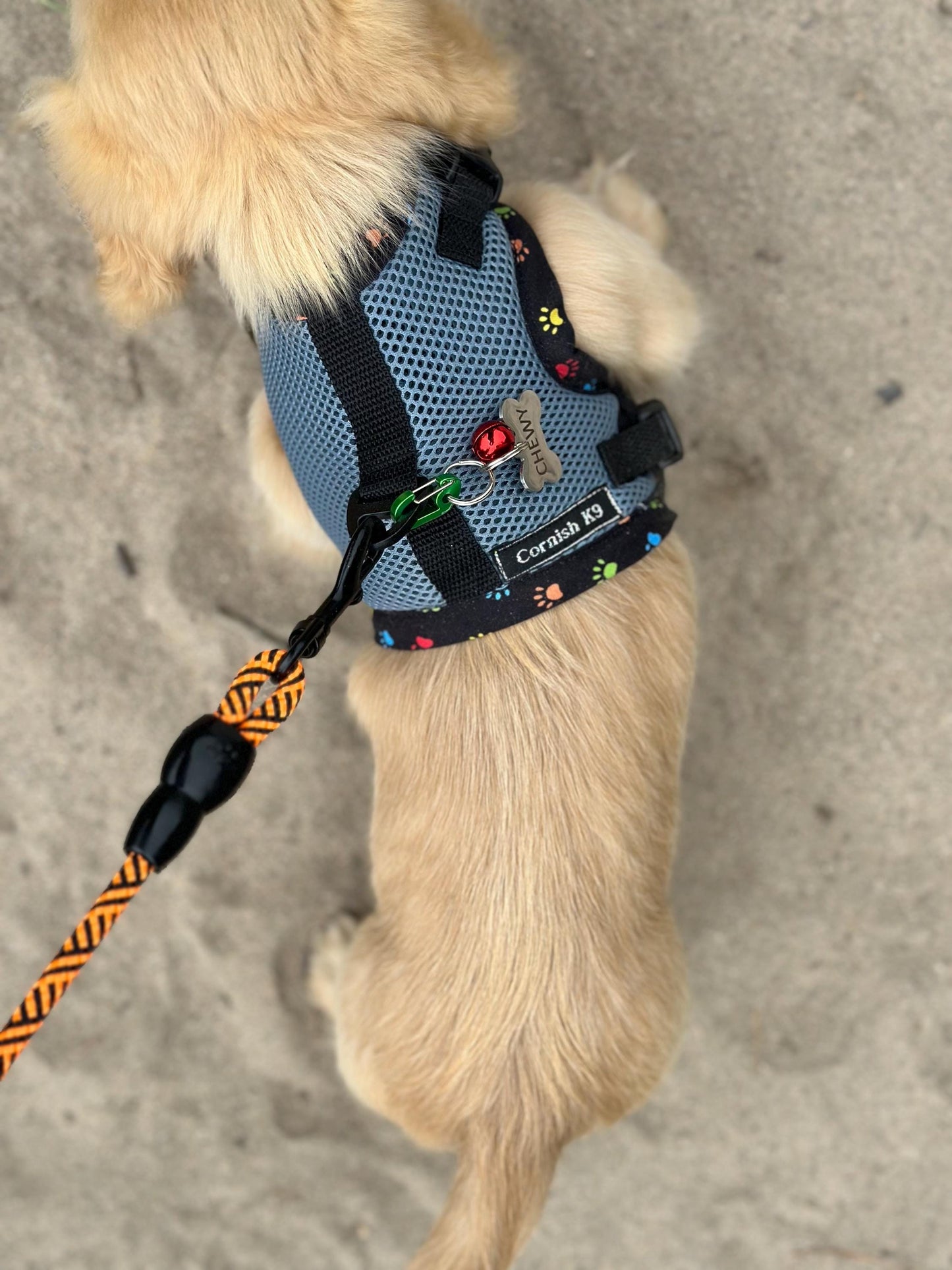 Made-to-Order Dachshund Harness: Petrol Spacer Mesh, No Armpit Rub